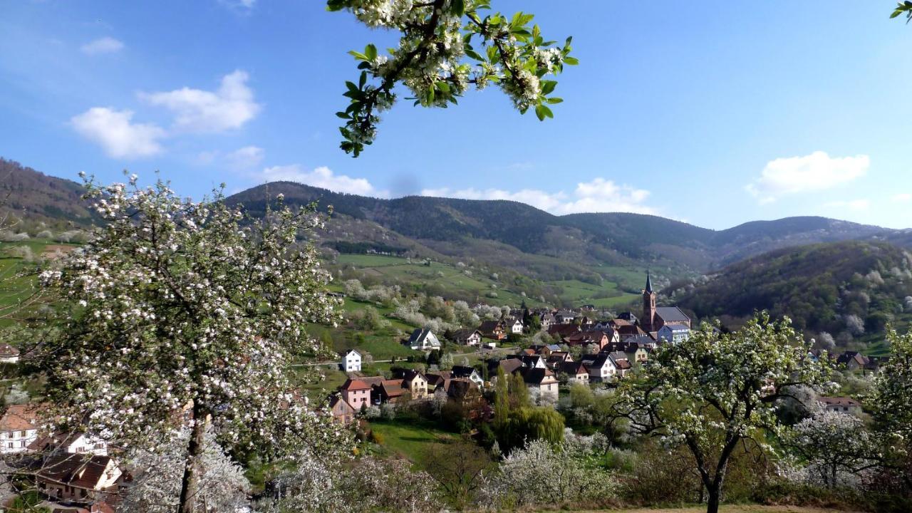 Les Gites La Cerisaie Breitenbach Екстериор снимка